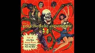 Various - Psychedelic Experience Vol 4 Full album 1999