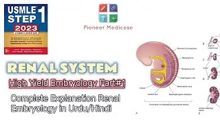 Detailed Explanation of Renal Embryology First AID  Step 1|Embryo part 1|Explained in Urdu/Hindi
