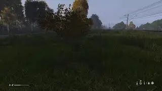 DayZ