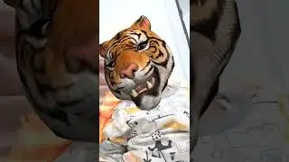 ngaung suara harimau
