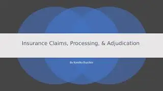 Insurance Claims, Processing, & Adjudication