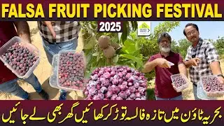 Falsa Fruit Picking Festival In Bahria Town Karachi | Free Entry | Khud Torein Or Ghar Bhi Lejayein