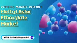 Top 10 Company In Methyl Ester Ethoxylate Market Size And Forecast - Verified Market Reports