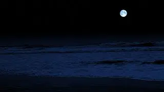 What the Waves Sound Like from a Hammock Calm Your Thoughts with Gentle Shore Waves #2