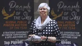 Martha van Geel - NL20-1565428