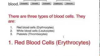 Blood & Their Component | Blood & Their Cells || RBCs, WBCs & Platelets || Function & Types of cells