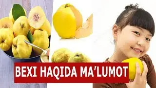 BEHI HAQIDA SIZ BILMAGAN MA'LUMOTLAR.