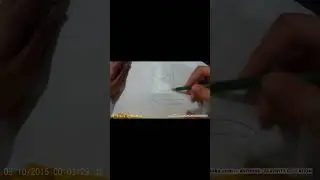 How to draw an Iguana Short 1