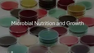 Microbiology lecture 5.3 Limiting Resources and Oxygen Demands