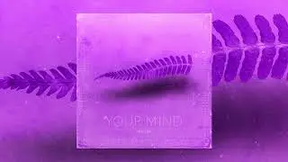 INSIDIA - Your Mind