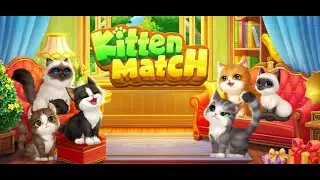 Kitten Match - Story - Park - Terrace Studio