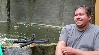 Desvendando a Aera&ccedil;&atilde;o em tanques de Til&aacute;pia - Aula02
