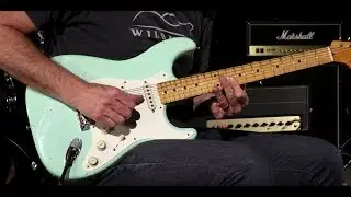 Fender Custom Shop Dealer Select Wildwood 