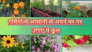 Easy to grow Summer flower plants in India | top 10 summer flowers |