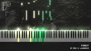 Eric D. Lawrence - Forest