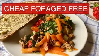 CHEAP MEALS | BARGAIN BUYS | FORAGED AND FREE | EXTREME FRUGAL LIVING