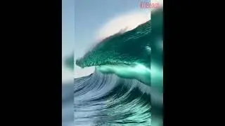 Protect From destruction. . Save Environment,