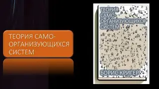 Теория самоорганизующихся систем
