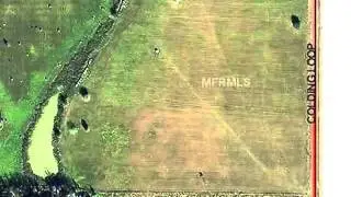 Homes for Sale - Colding Loop Wimauma FL 33598 - Sarah Parker