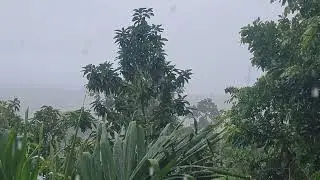 This is a rainging video from the other day