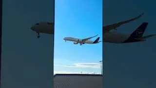 #lufthansa #a350 #landing #seatac #aviation #views #airplane #aeroplane #planespotting #aircraft
