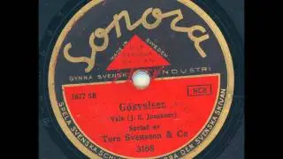 Tore Svensson & Co - G&ouml;kvalsen
