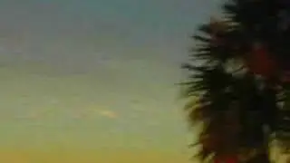 Images of Coastal Georgia