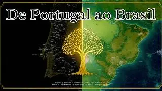 Sobrenome Oliveira: A Árvore Que Cruzou o Atlântico