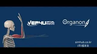 3D Organon XR Anatomy 해부학 프로그램 사용 가이드