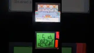 Pok&eacute;mon Diamond Pearl Battle Tower 100 win streak (105th win) + obtaining the Gold Trophy 🏆