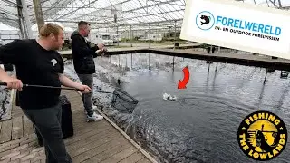 Мир форели. Советы и рекомендации по ловле форели. FishVlog №87.