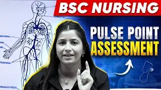 9 Pulse Points Assessment on the Body Nursing - Anatomy and Physiology | Bsc Nursing Preparation