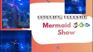 Magical Mermaid Show in Bangalore🧜‍♀️ADreamUnderwaterExperience#BangaloreMermaidShow#UnderwaterShow