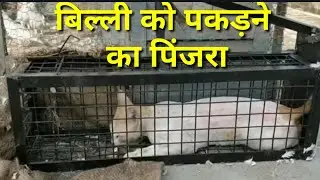 Billi ko pakadne ka pinjra