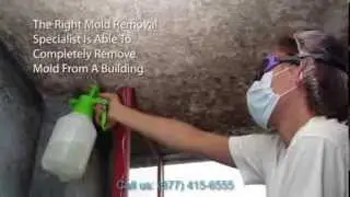 Mold Removal San Francisco - (877) 415-6555- Water Damage Services, Mold Remediation