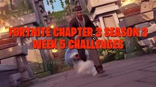 COLLECT FLOATING RINGS NEAR REALITY FALLS - FORTNITE WEEK 5 QUESTS