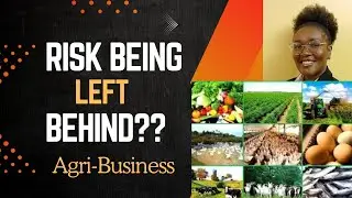 Top 8 Agribusiness Opportunities to Make Easy Money/ The Agri Boom