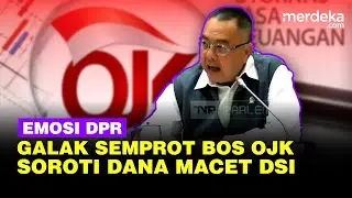 Melotot PDIP DPR Semprot Bos OJK Sebut Banyak Paradoks, Soroti Dana Macet DSI Rp1,2 Triliun