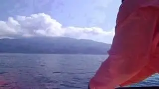 Olhet&atilde;o Com a Shark22