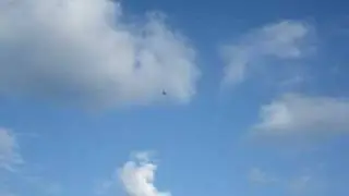 33% Cap 232 3W 80xi hovers and harriers