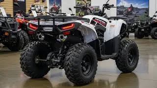 2026 TaoTao Rhino 250 Review | New Adult ATV Worth Buying? | Auto Craze 