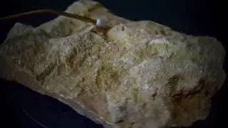 Piece for two Oolite limstones