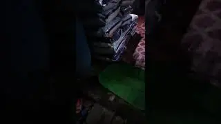 short video #viral22/10/23