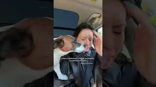 Сначала поплачу