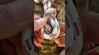 Survival Skill: You only need rope #survivalskill #youneedrope #ropeskills #diysurvival #diy
