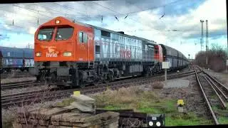 Tiger  250 008 u. 250 005 der hvle  Ausfahrt Blankenburg 13 01 2023