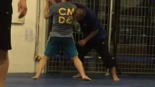 Crazy Monkey Defense C.I.A. Edge