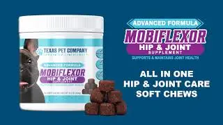 Mobiflexor Hip and Joint Supplement For Dogs with Glucosamine Soft Chew Dog Treats