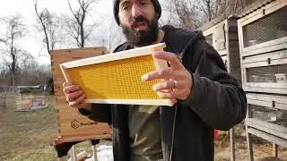 Components Of A Beehive - For Beginners #beekeeper