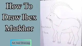 How To Draw Ibex Markhor  | Art And Drawing | Montessori Directress